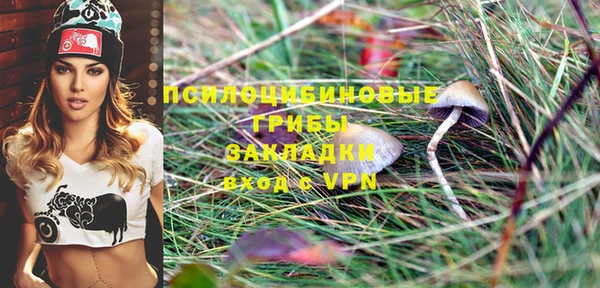 трава Верхний Тагил