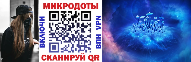 хочу   Воткинск  Псилоцибиновые грибы Cubensis 